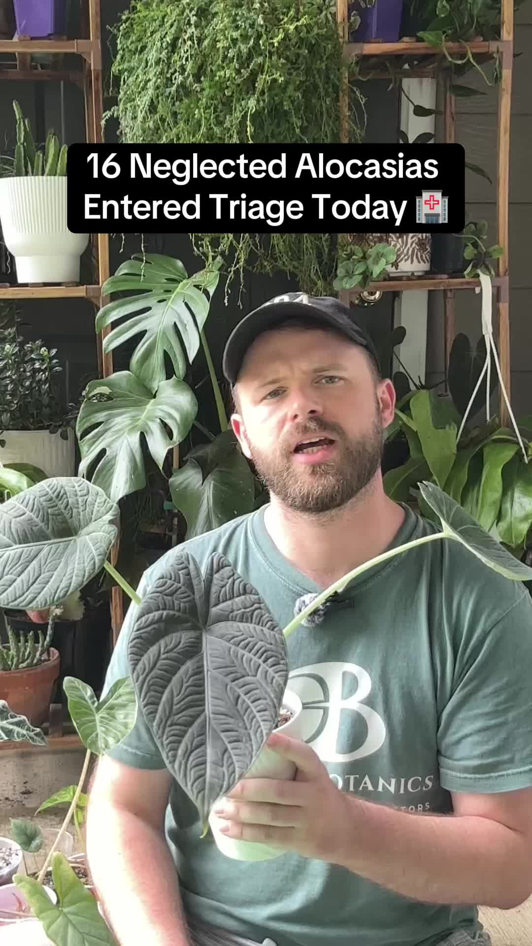 @🌱yler✨Beatty&rsquo;s Botanics