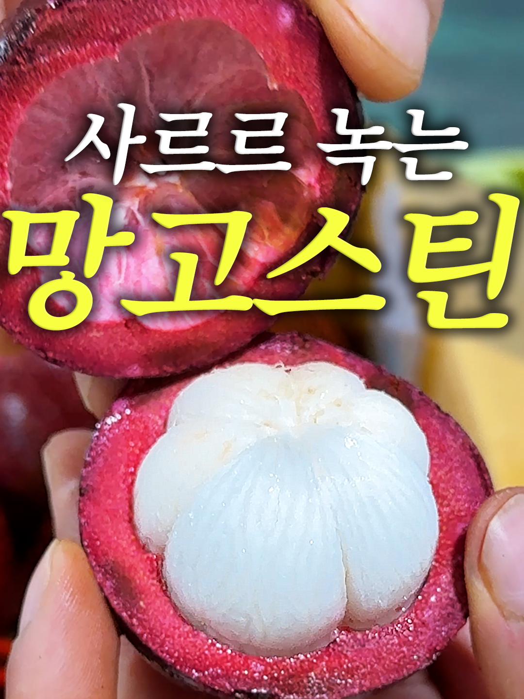 @해운대송사장
