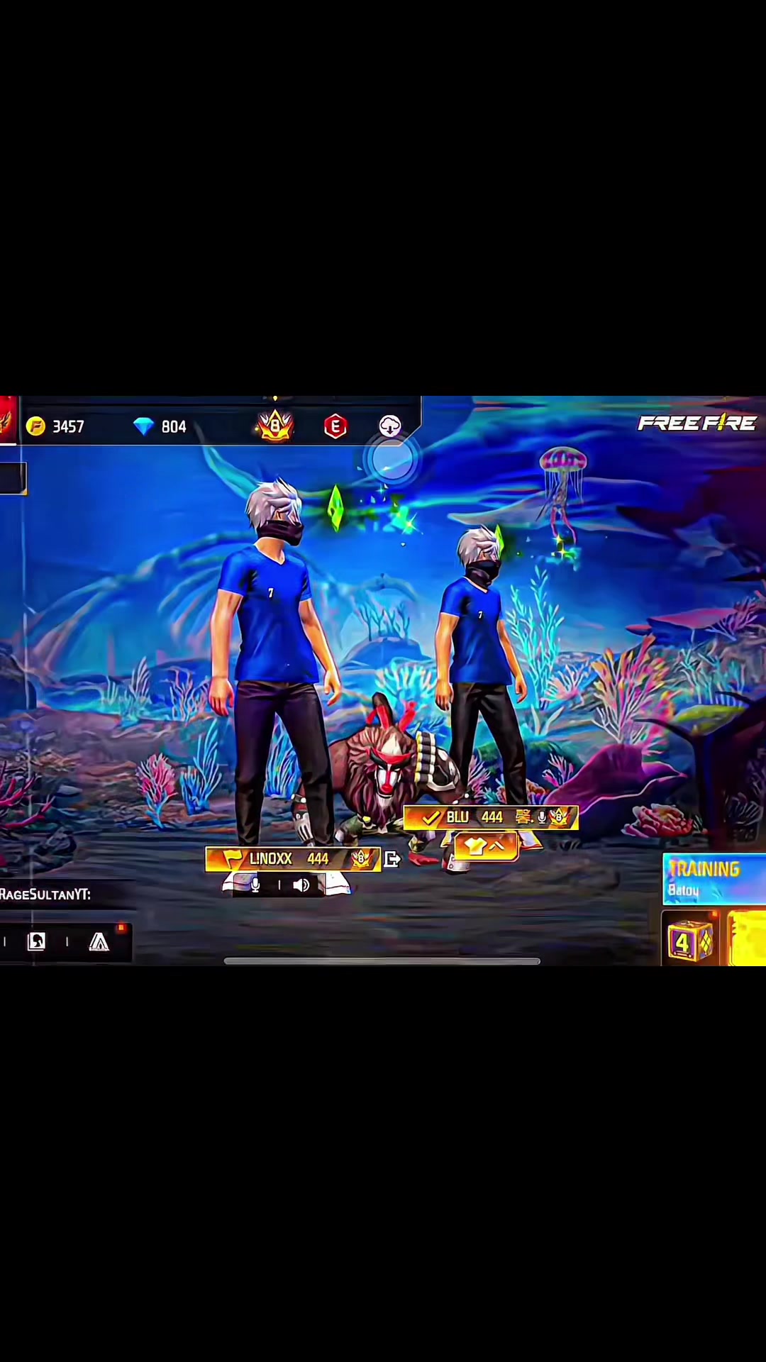 @๐๐ข๐ง๐จ๐๐ฑ ๐๐๐ ๐ฅท๐ง๐ท
