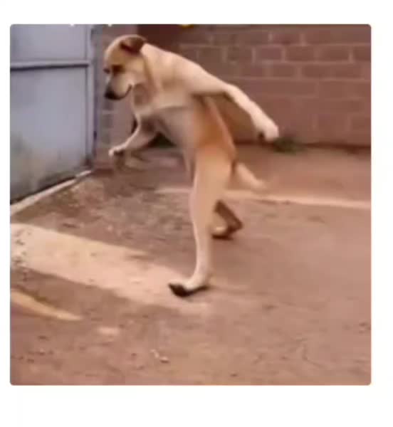 @Mooon