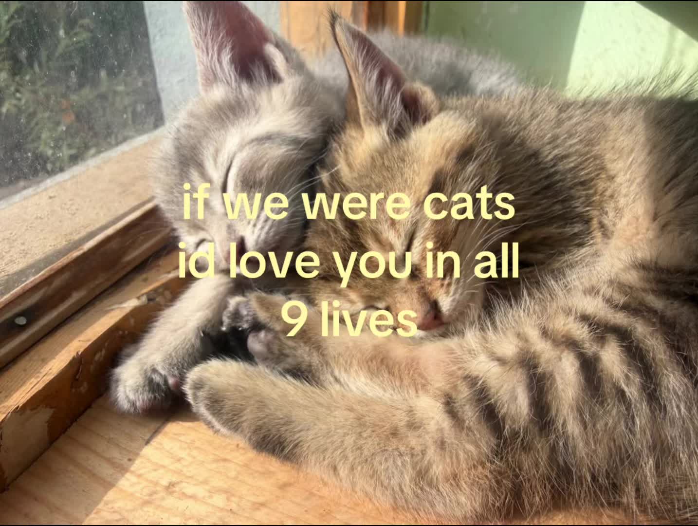 @rwnd