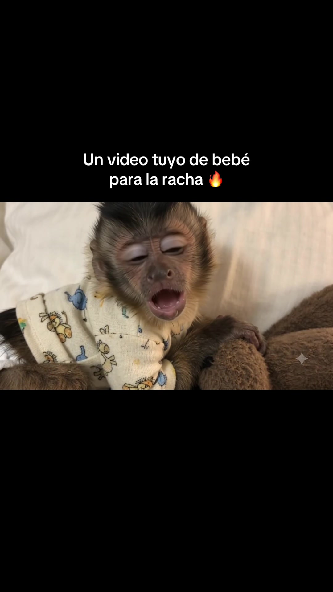 @RabPesito 🔥