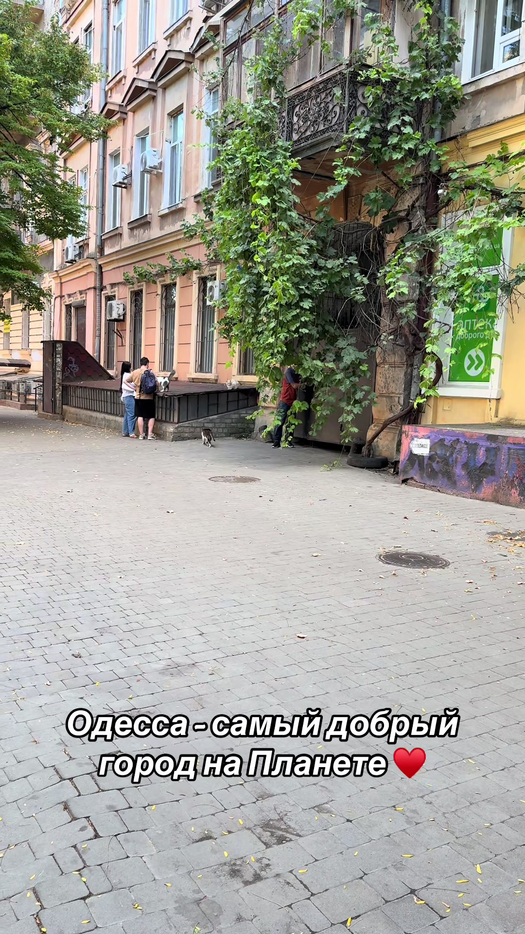 @Принцесса Молдаванки 🕊️