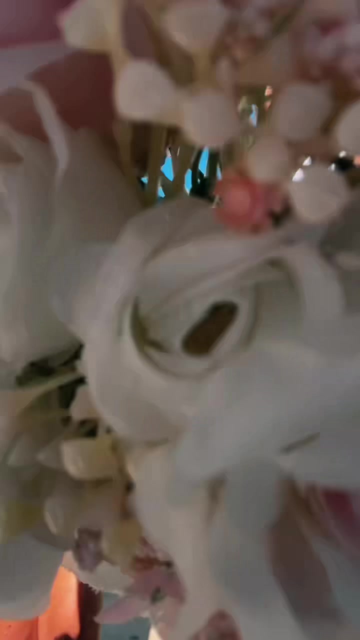 @๐ซ๐ฒ๐ฅ๐๐ ๐ก๐จ๐ฉ๐๐ฑ