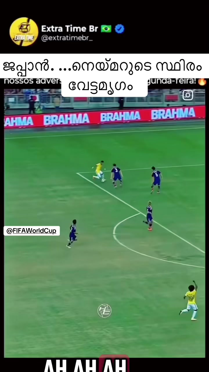 @brazi307