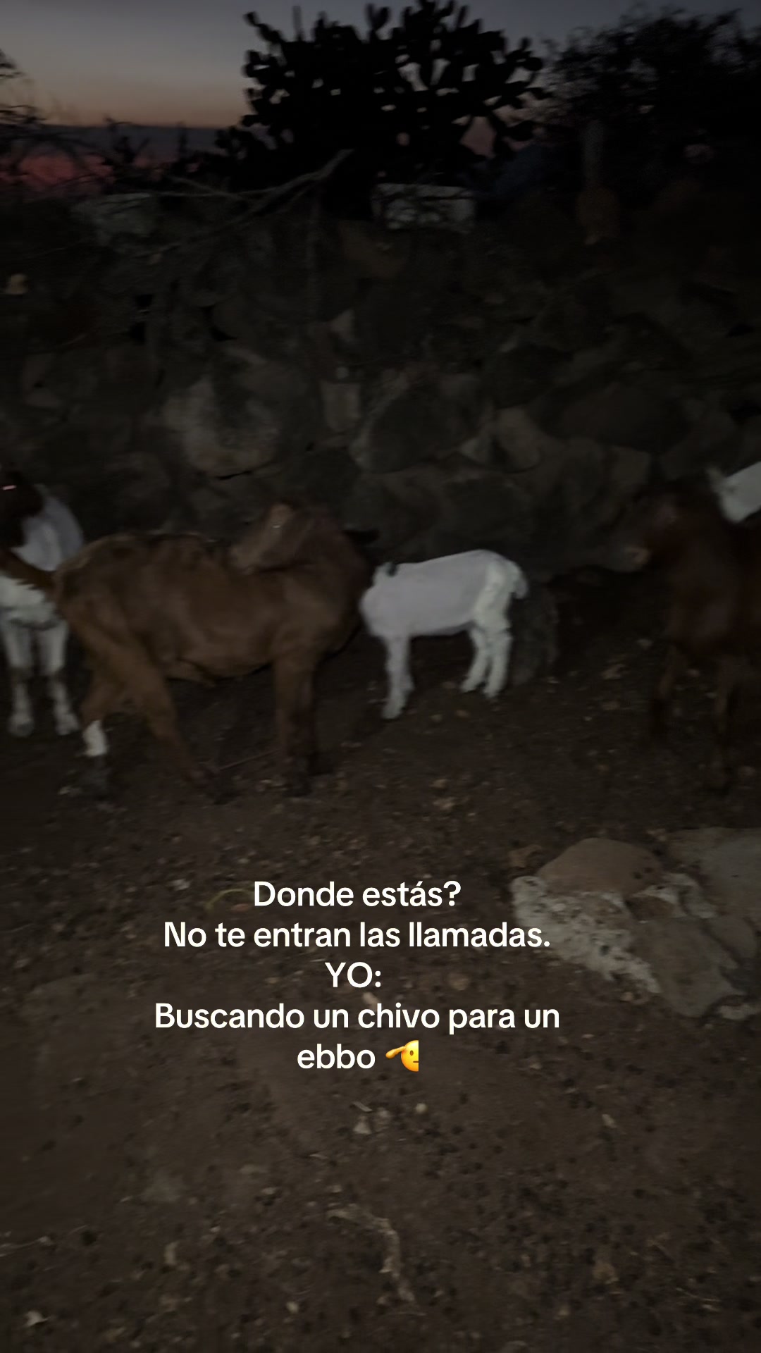 @🌙Via Soriano🦬👑💎💙