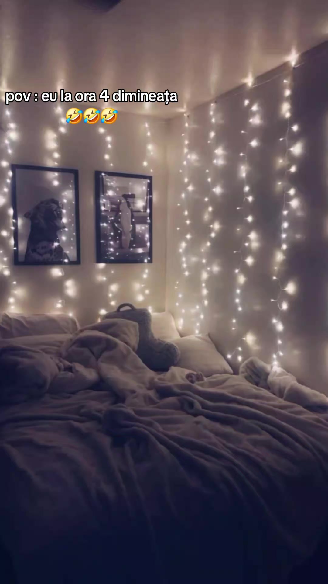 @tolykrusu