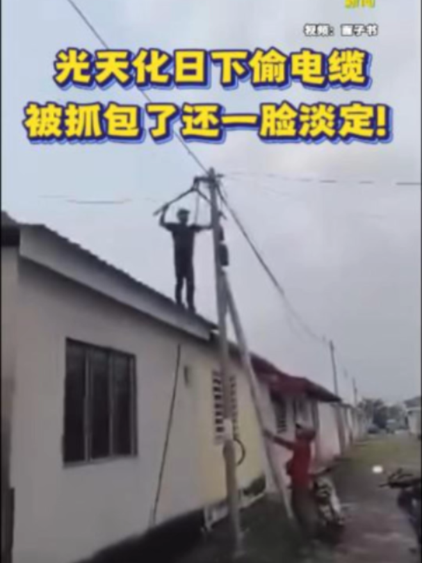 @中国报