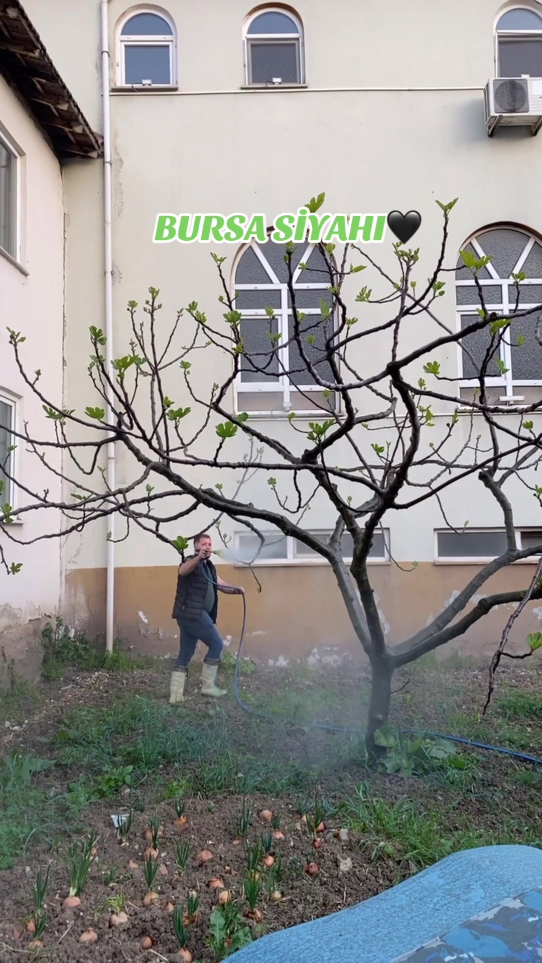 @&Ouml;mer Durak