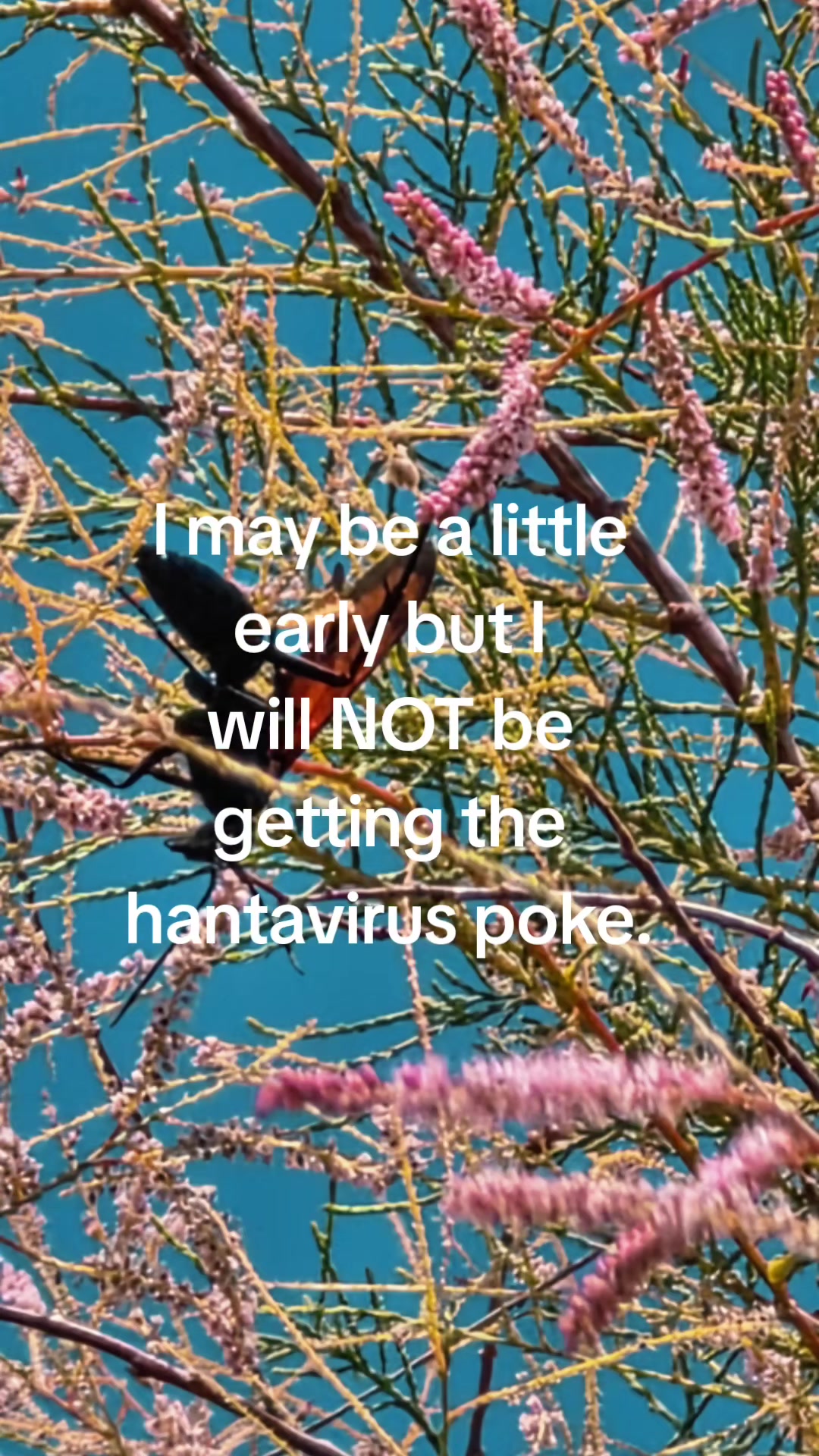 @wendy