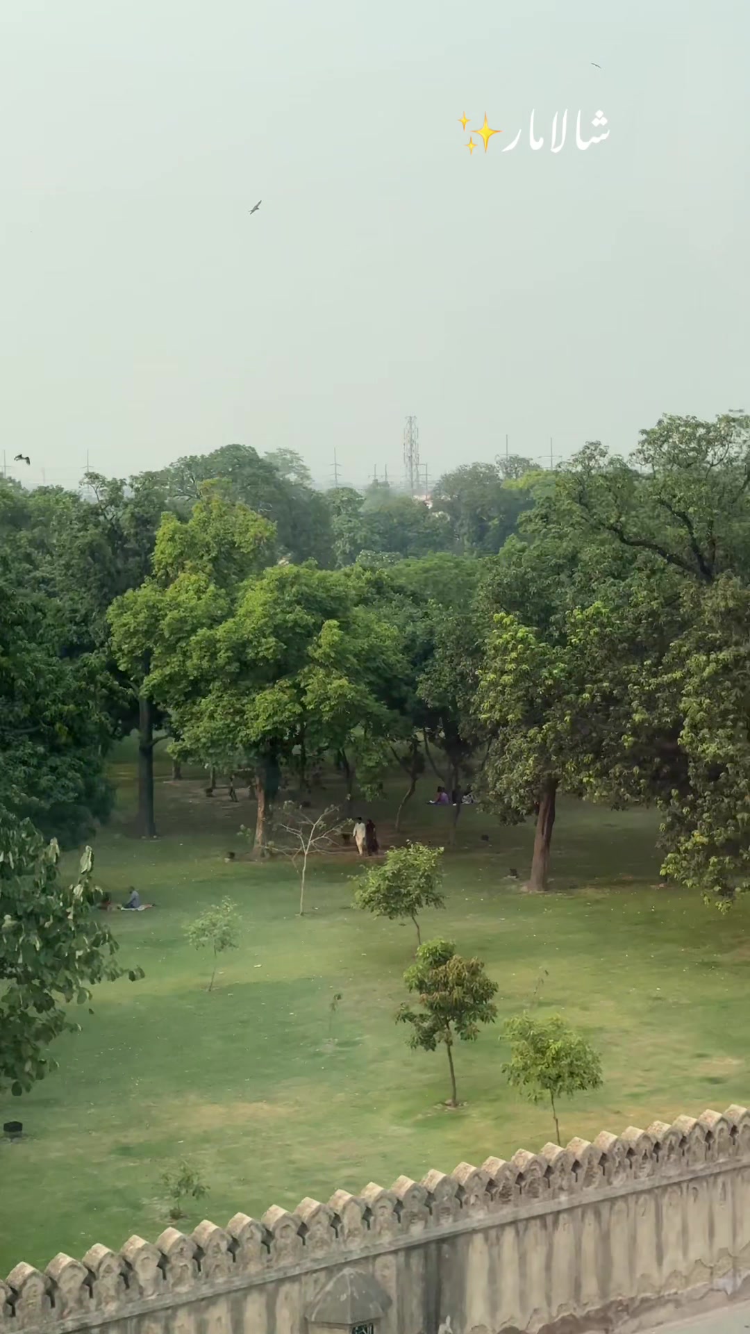 @فیصل سرور