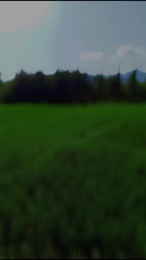 @ᴹᴿꘘคн&alpha;ᴅ