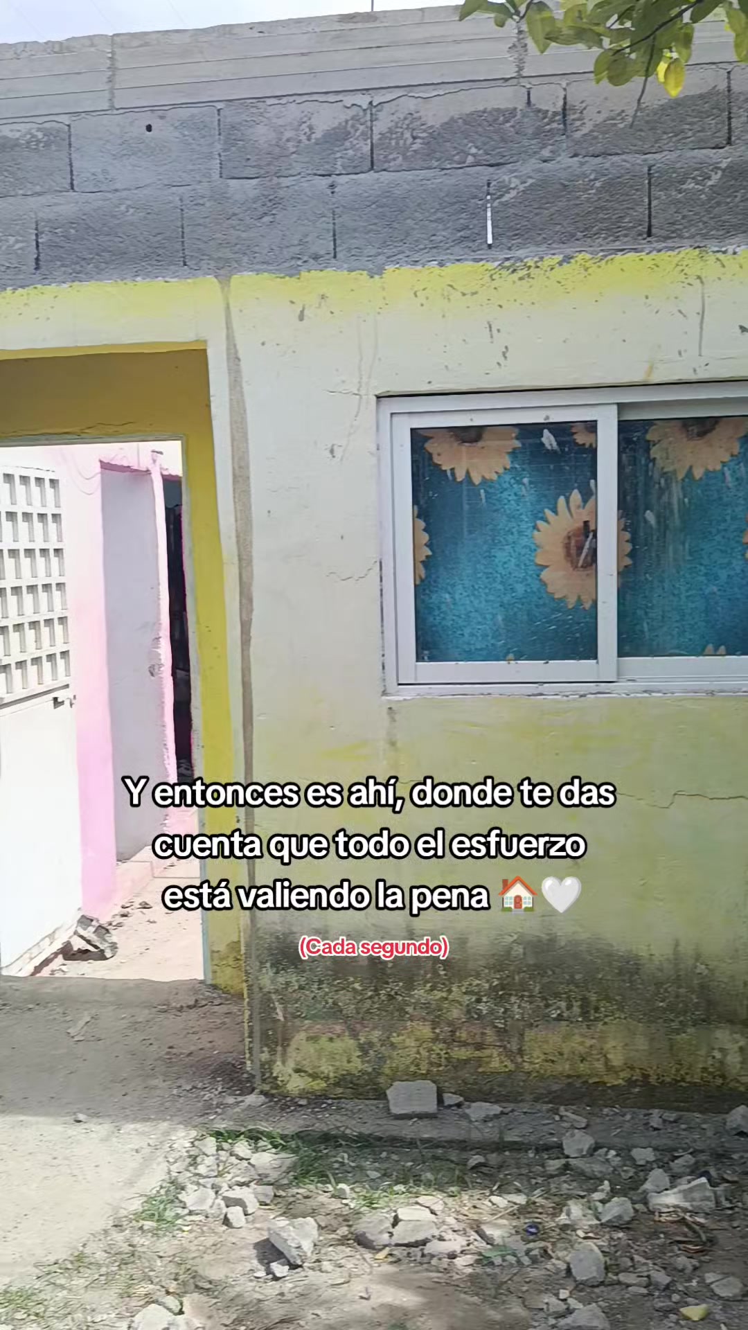 @JAVILE.
