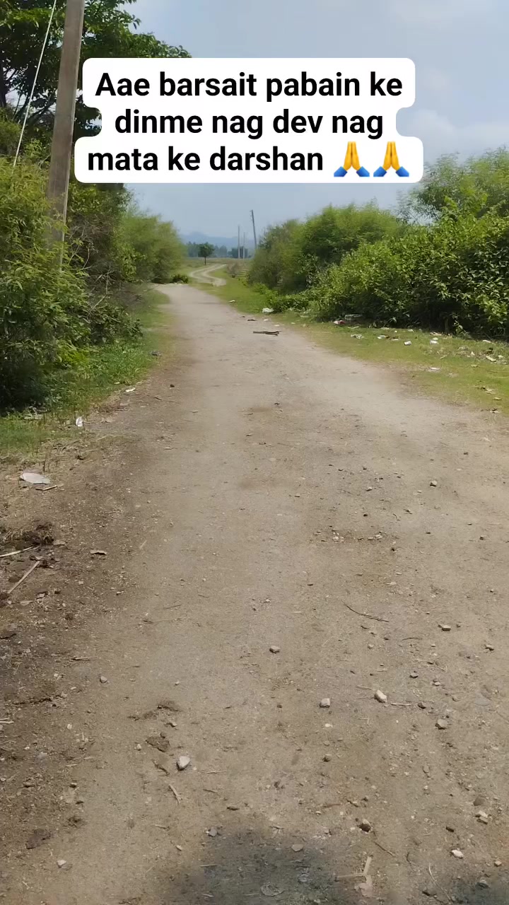 @anjusingh