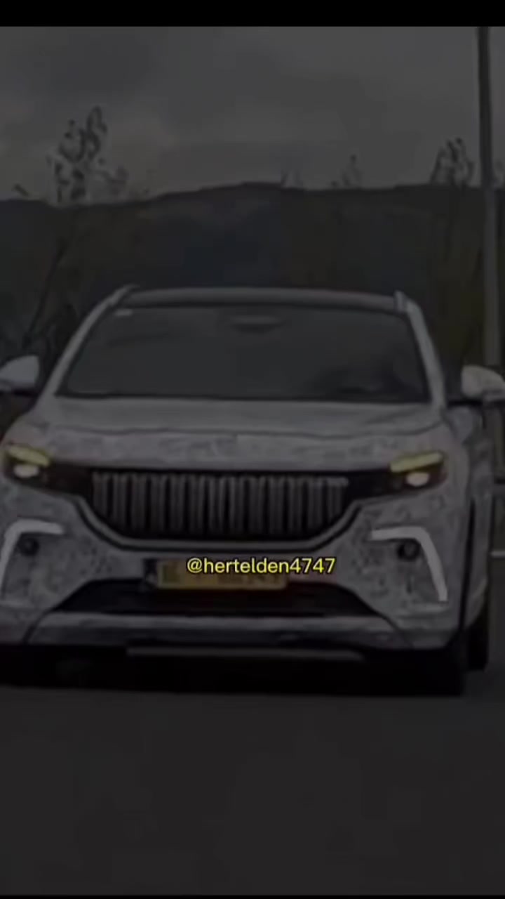 @hertelden4747