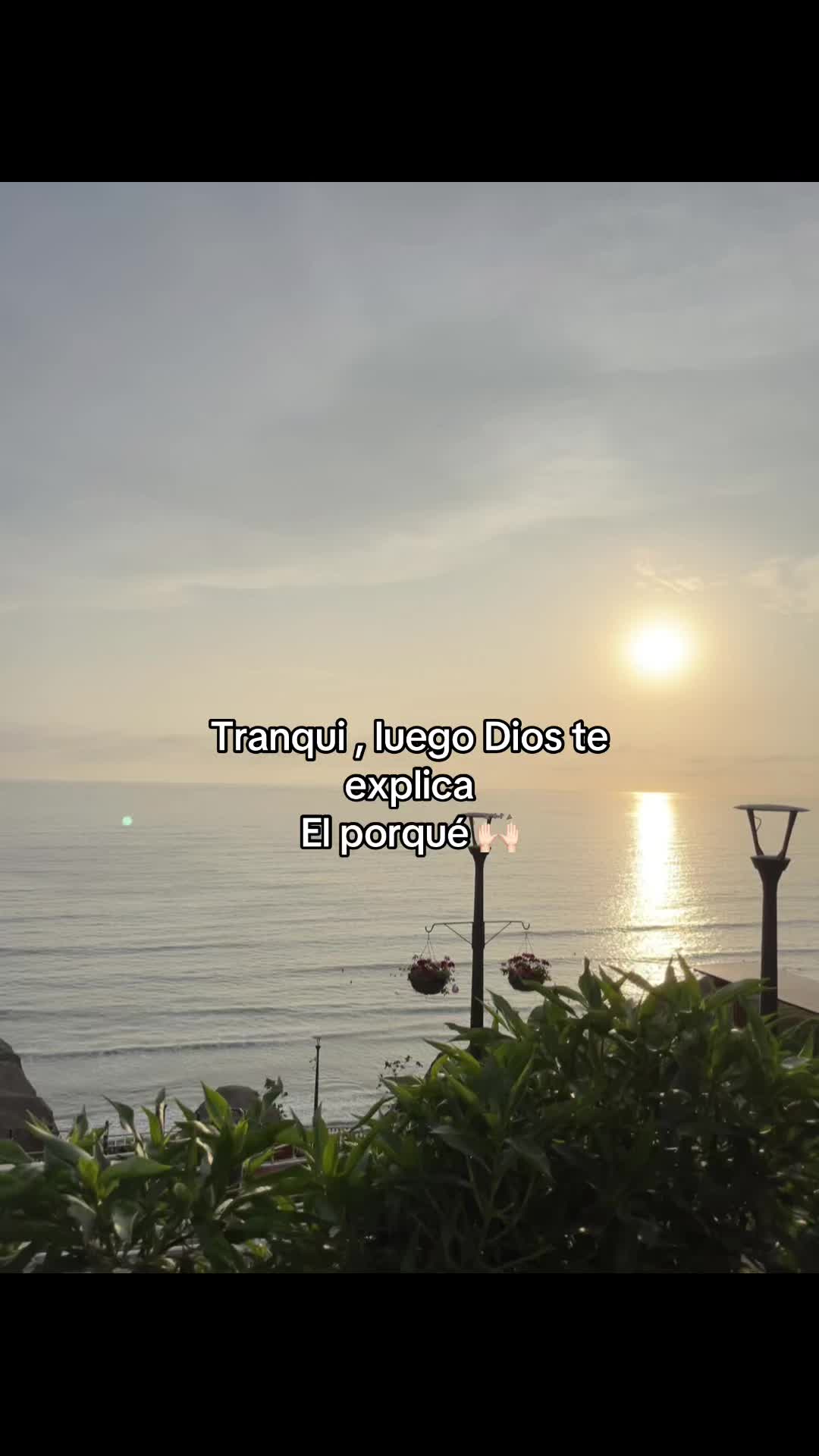 @Ale castro