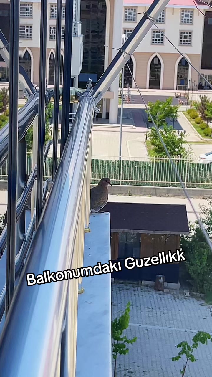 @Tülay