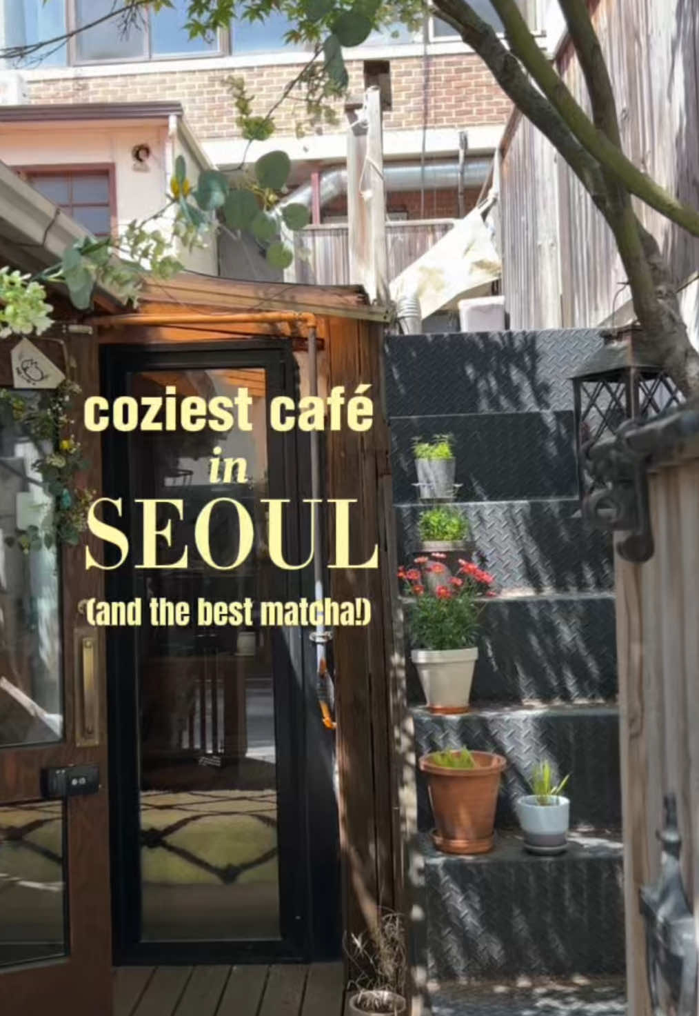@Joana in Seoul