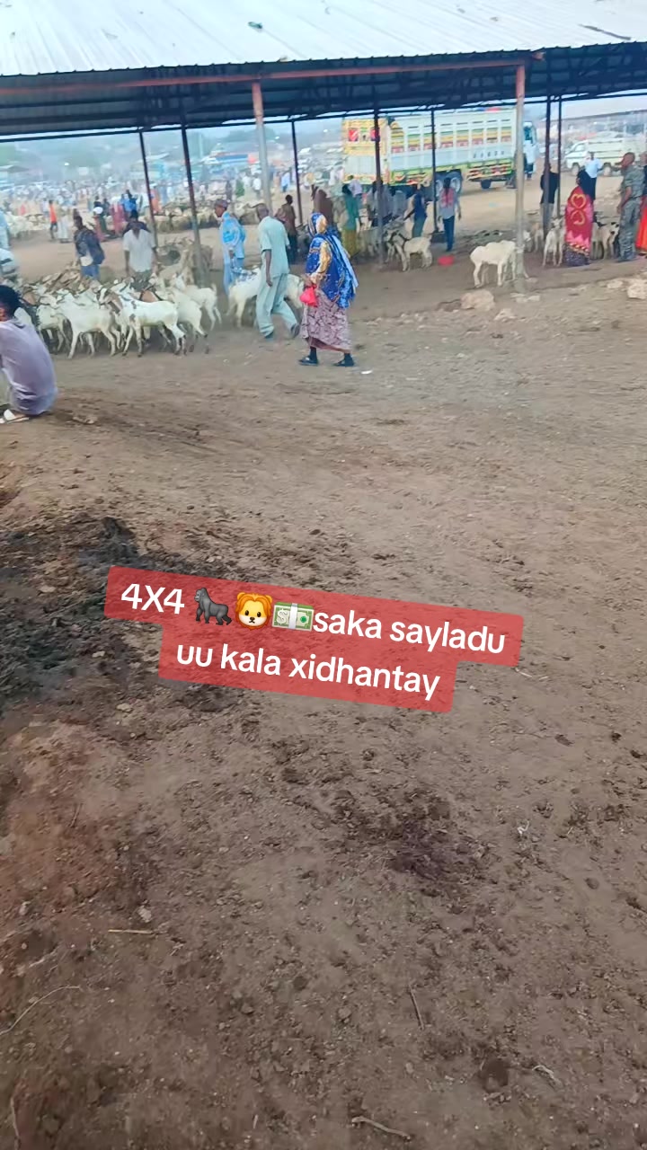@Abdi rahman Bawis 🤍🚍🛠️🔧