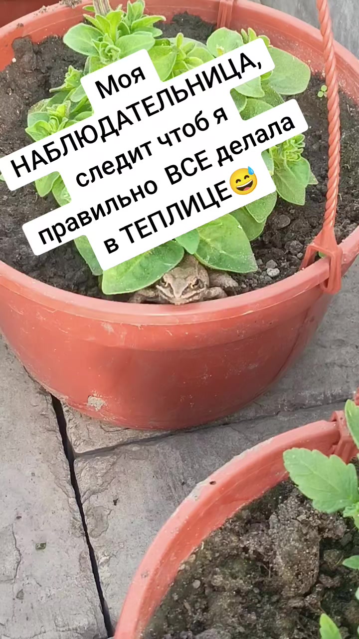 @Оленька