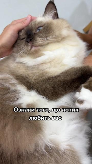 @Місс КІСЯ