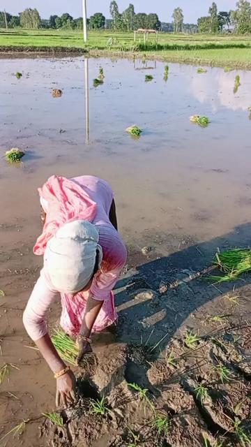 @Saptari♥๏ธ Queen ๐๐๐