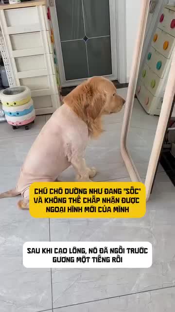 @Phạm Văn Thảo