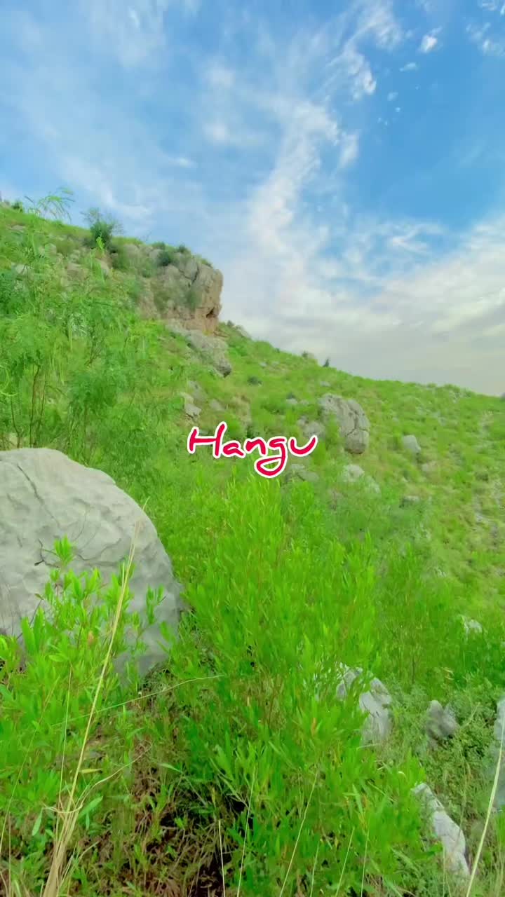 @عبدالقدوس وفا