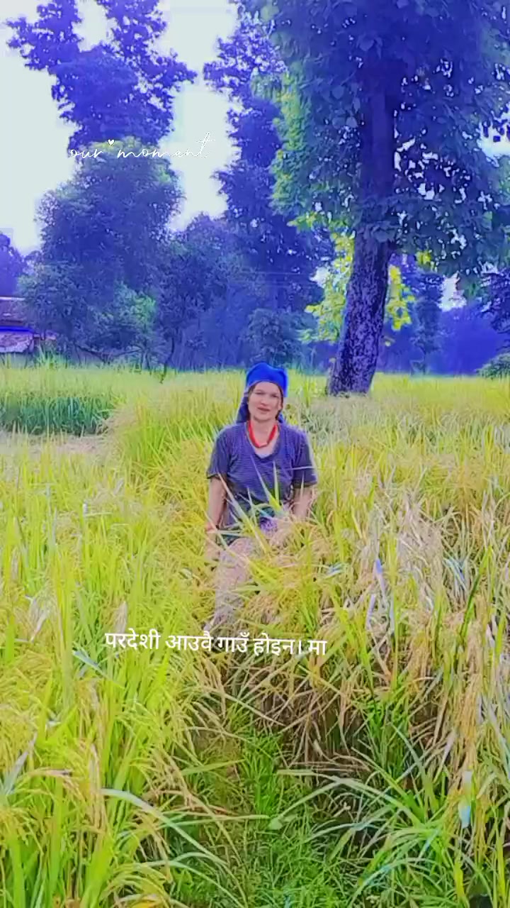 @Rekha bohara1
