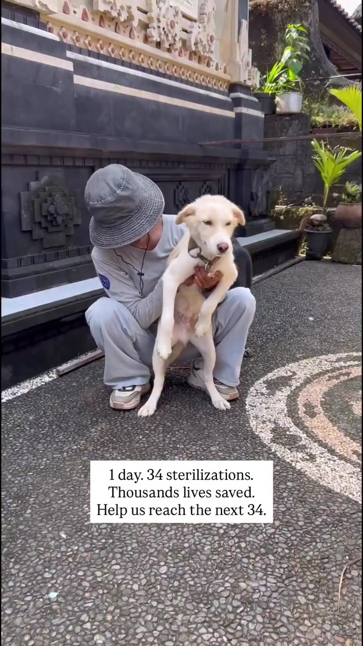 @littlestepsmatter.bali
