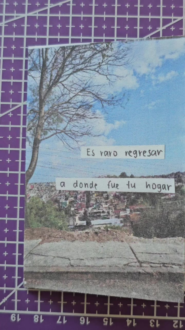 @anoldtaco