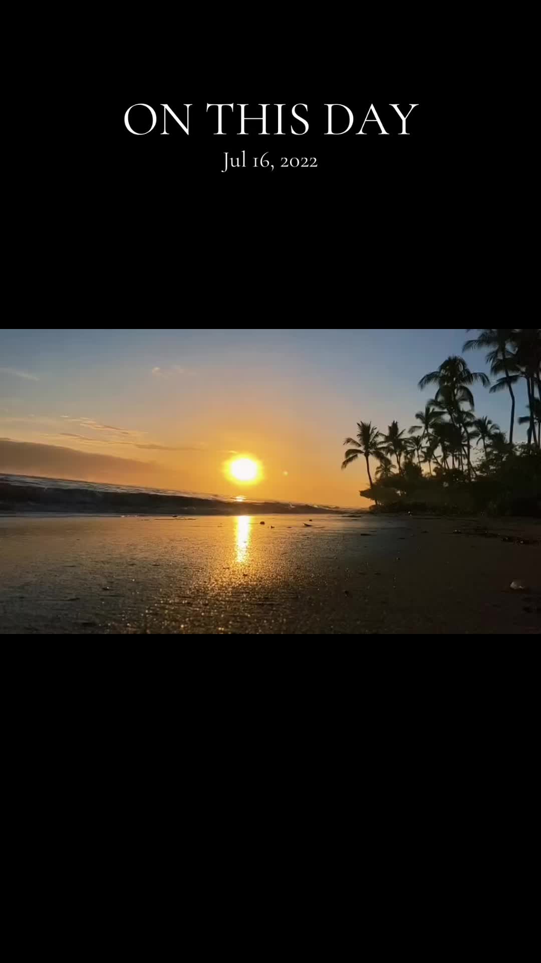 @@arlephotography