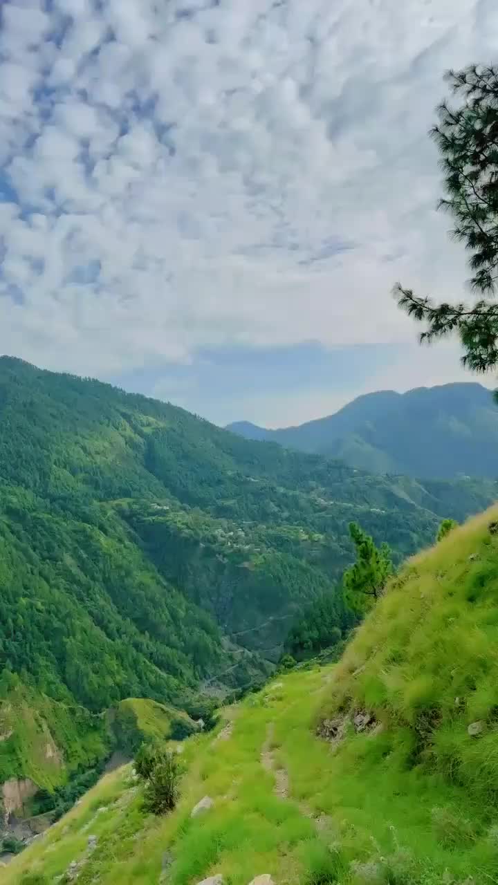 @Umer 🦅 1