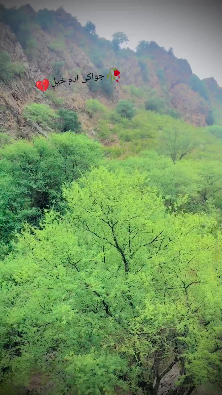 @Faizan _khan 368