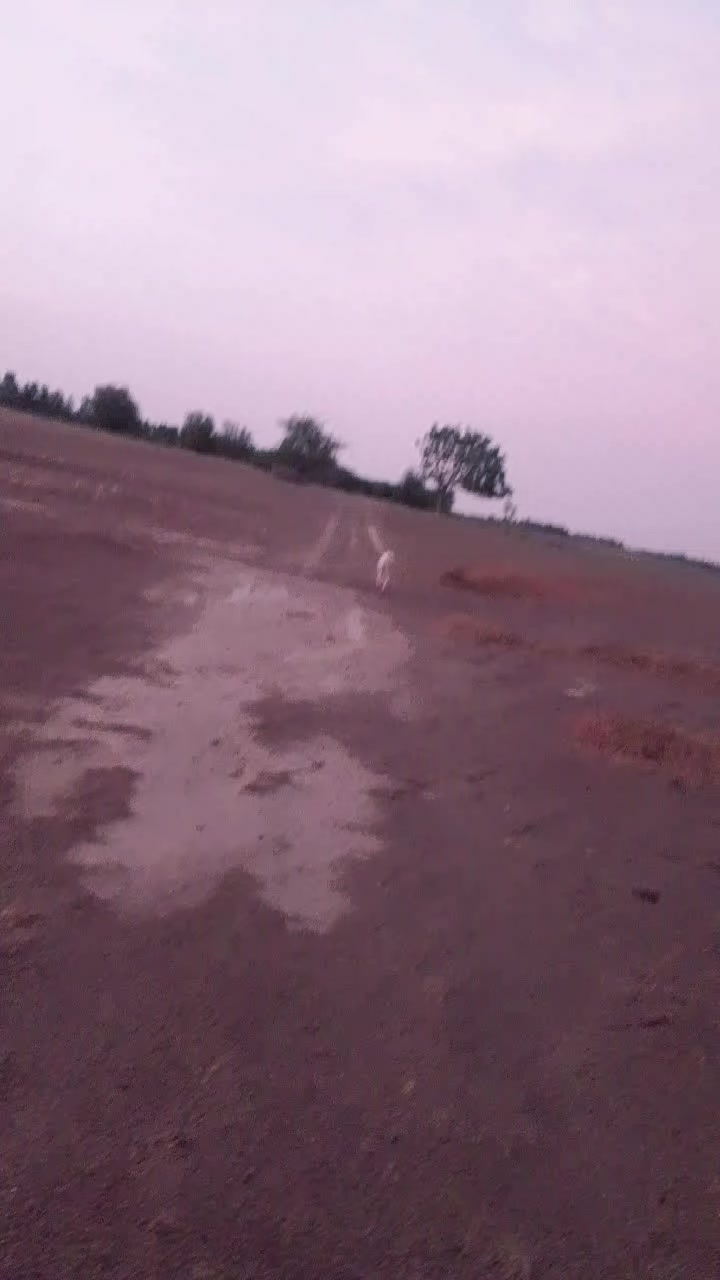 @zafrri saggu