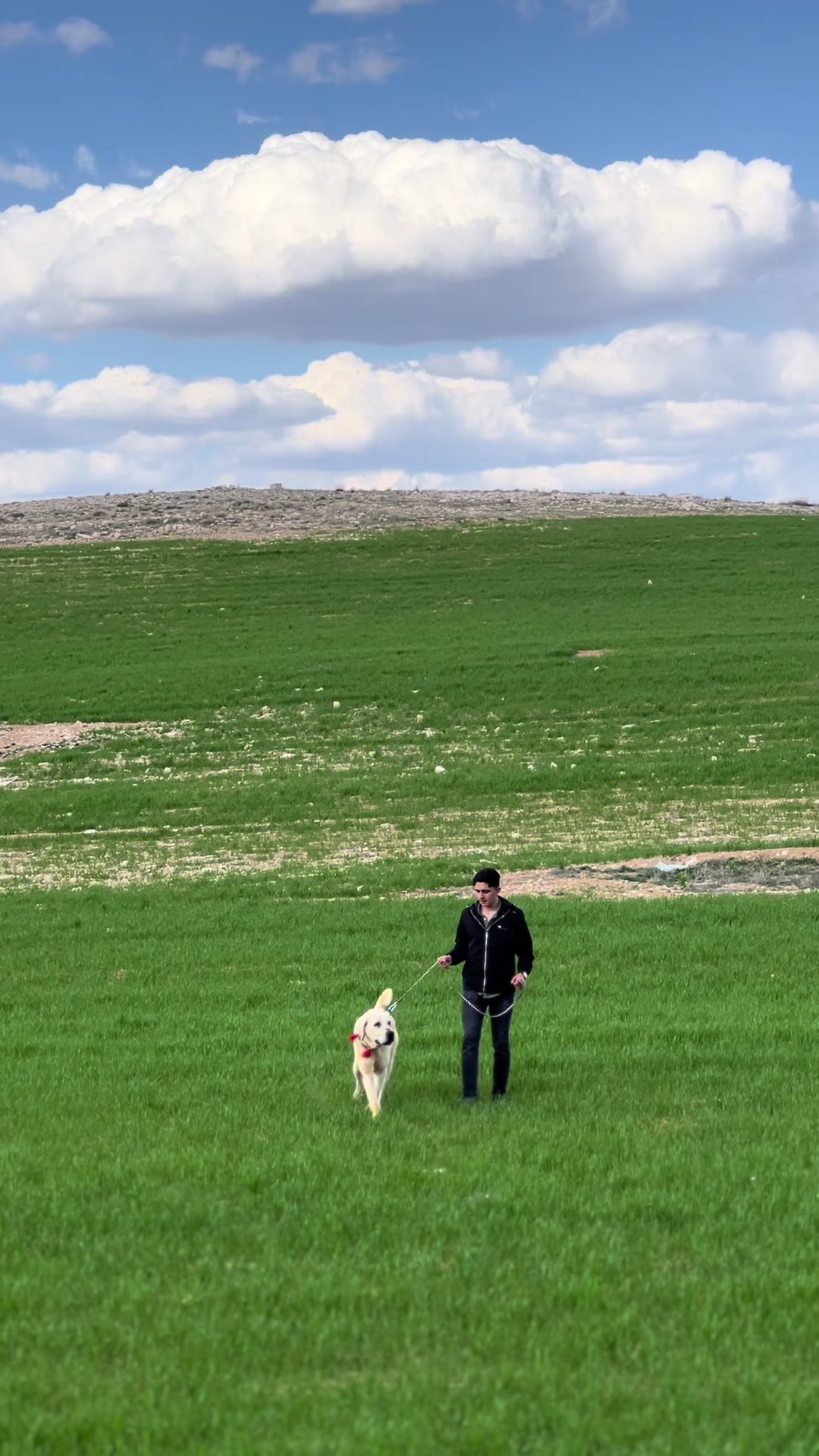 @Gürün.kennels58