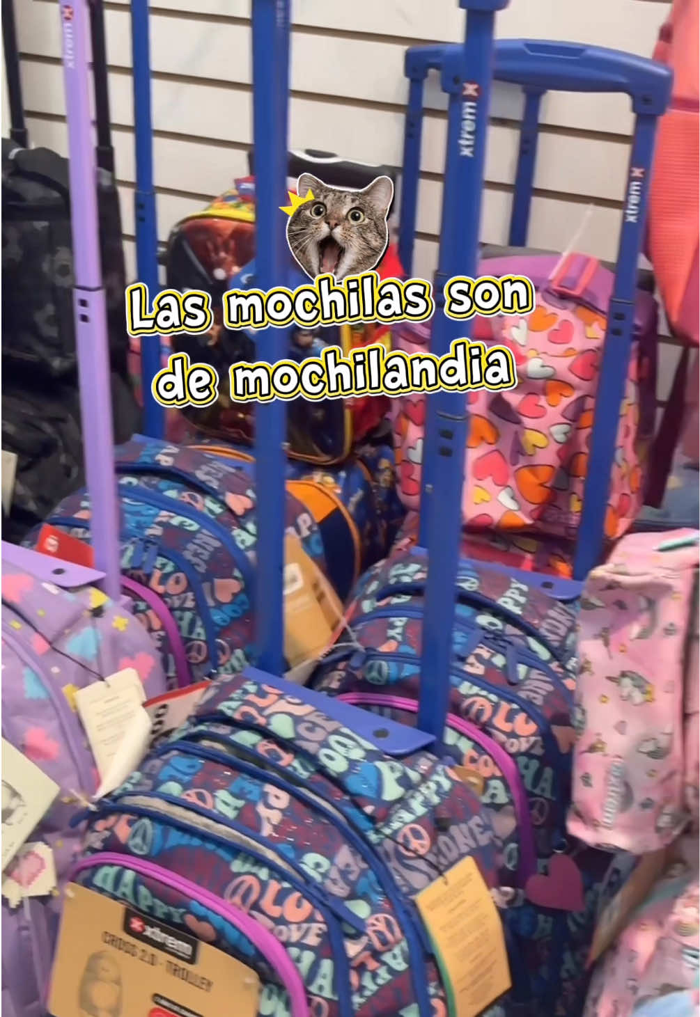 @Lizecilla🌺