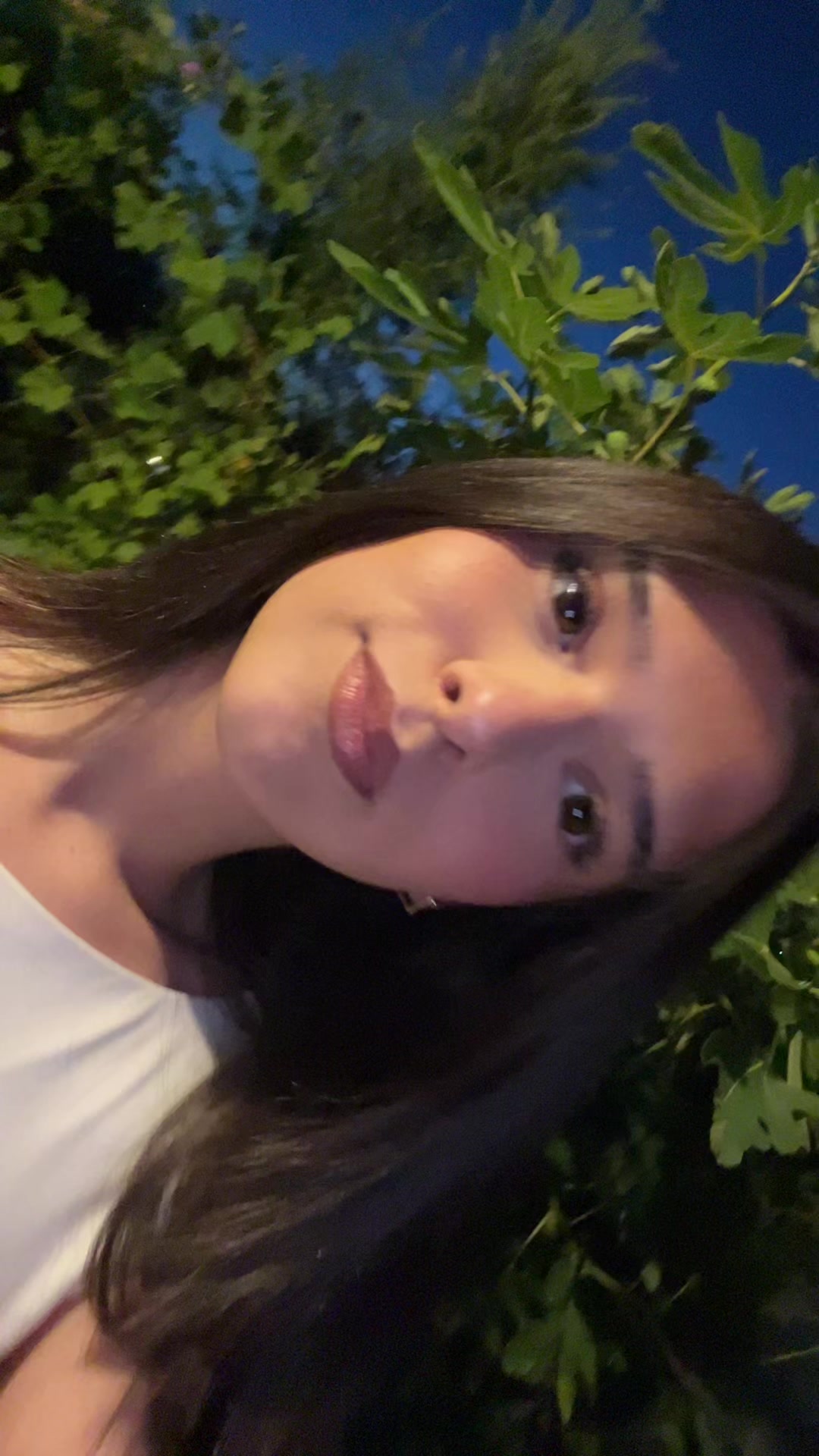@️vesa