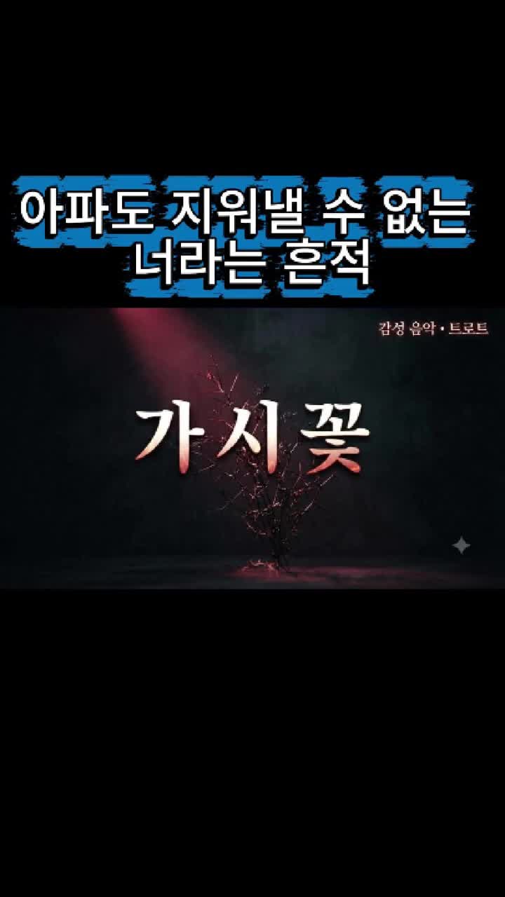 @감성 음악 트로트