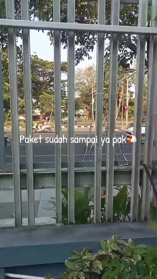 @TERNAK KITA