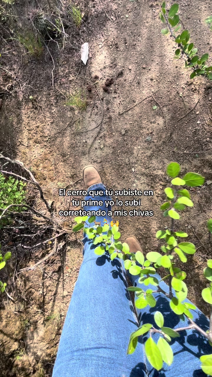 @Lachicadelagro_๐ฉ๐พ๐ฑ