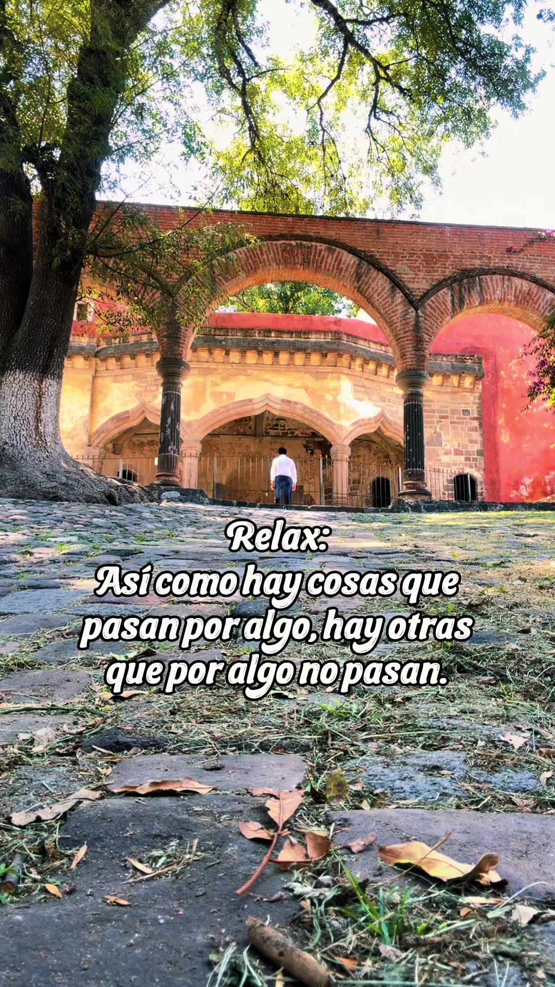 @🪬LuisEHerrera