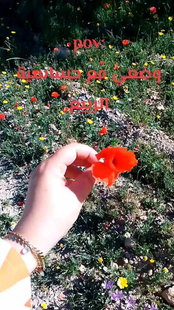 @🎀شيماء🎀