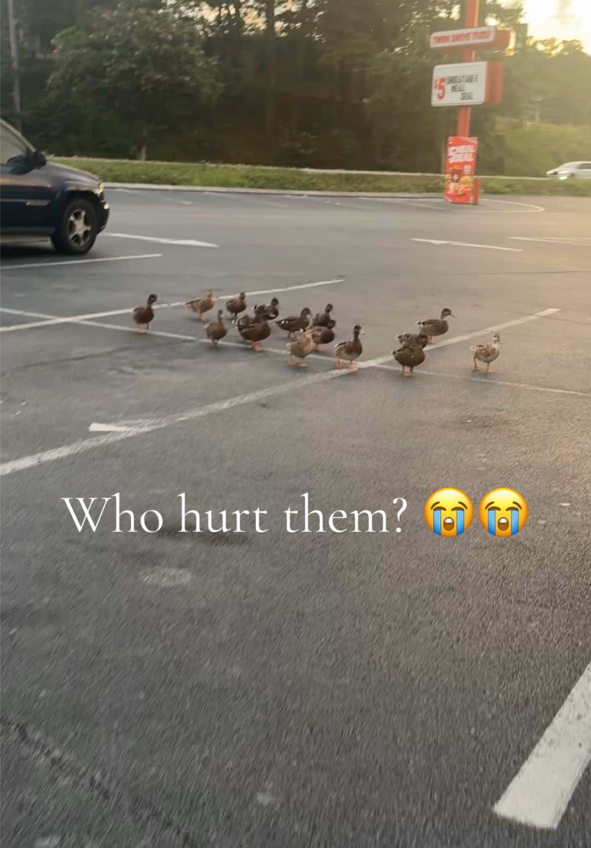 @Olivia Grace