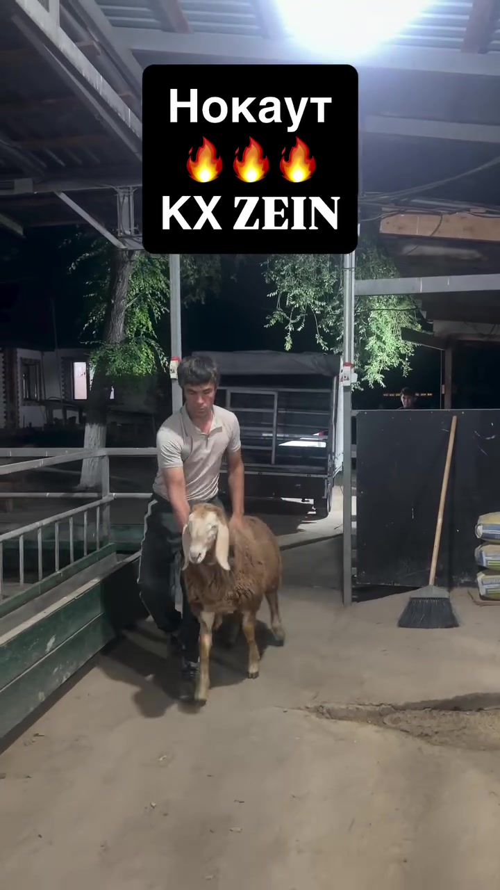 @СНГ - АРАШАН