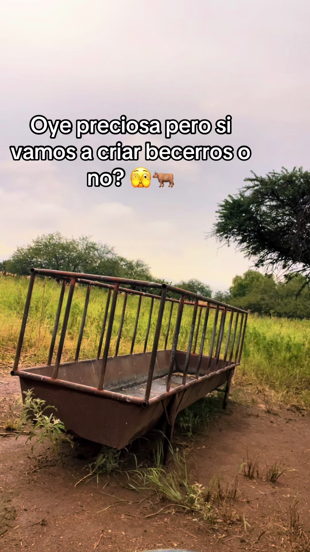 @Cristian Almanza