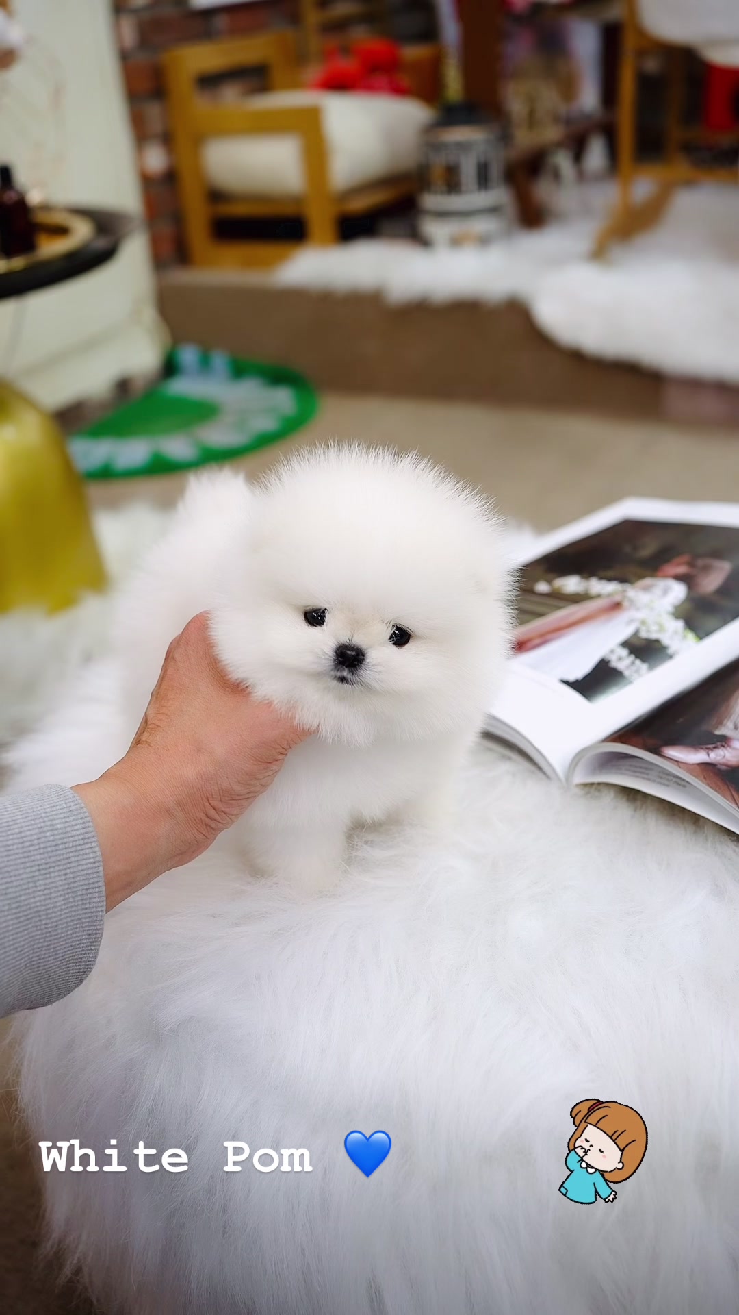 @pupsrepublicusa