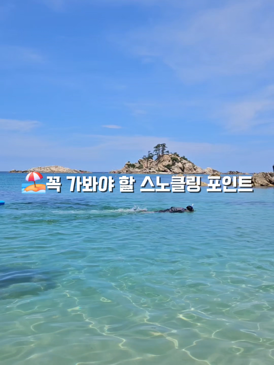 @캠퍼준영