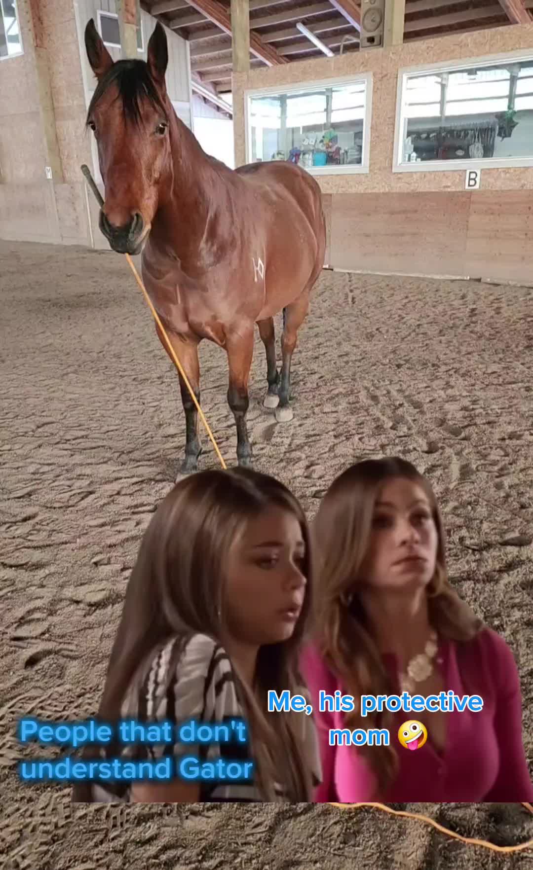 @Kayla Helm