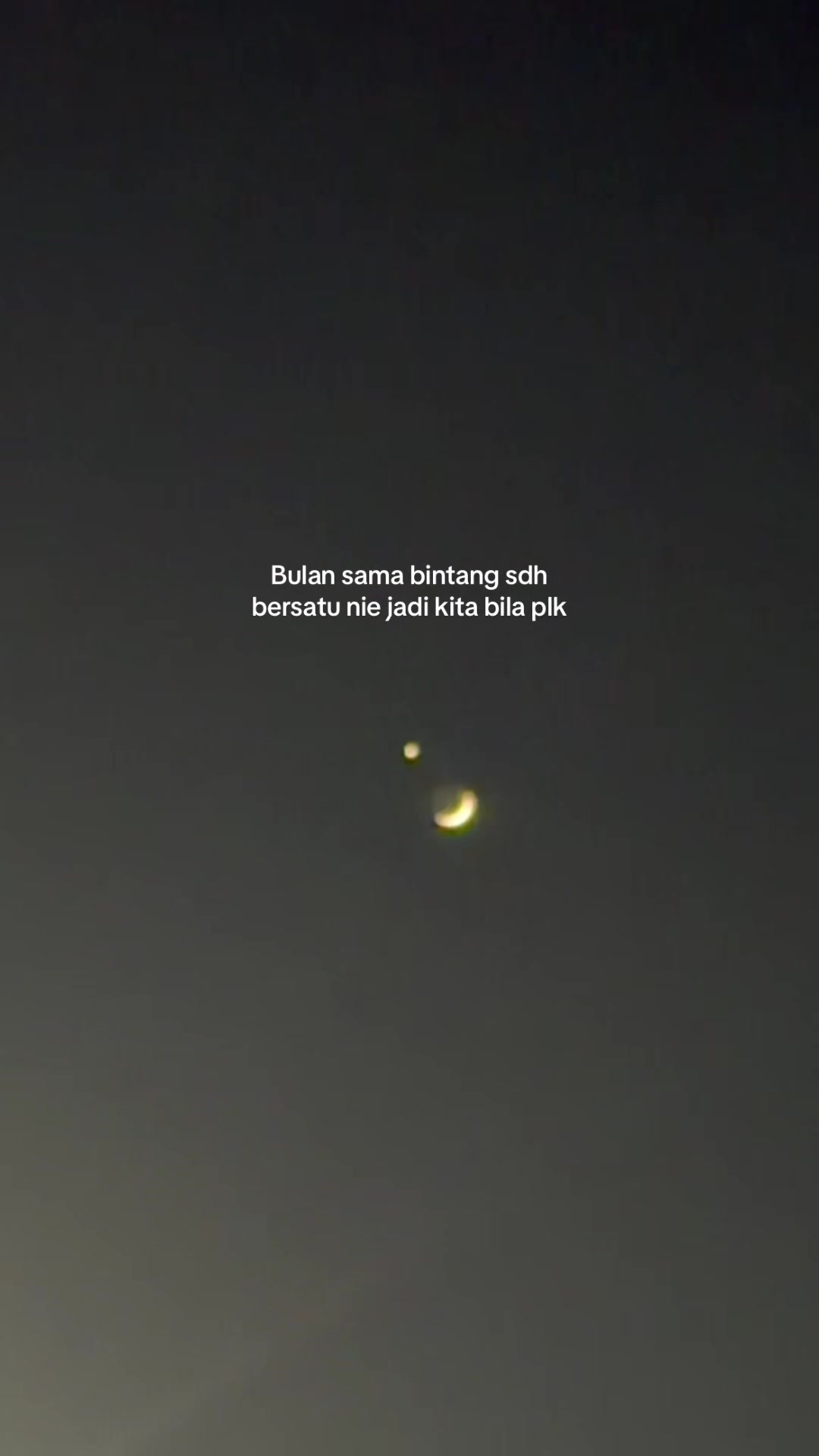 @tehhijau571